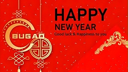 今日春节，祝你新年快乐！